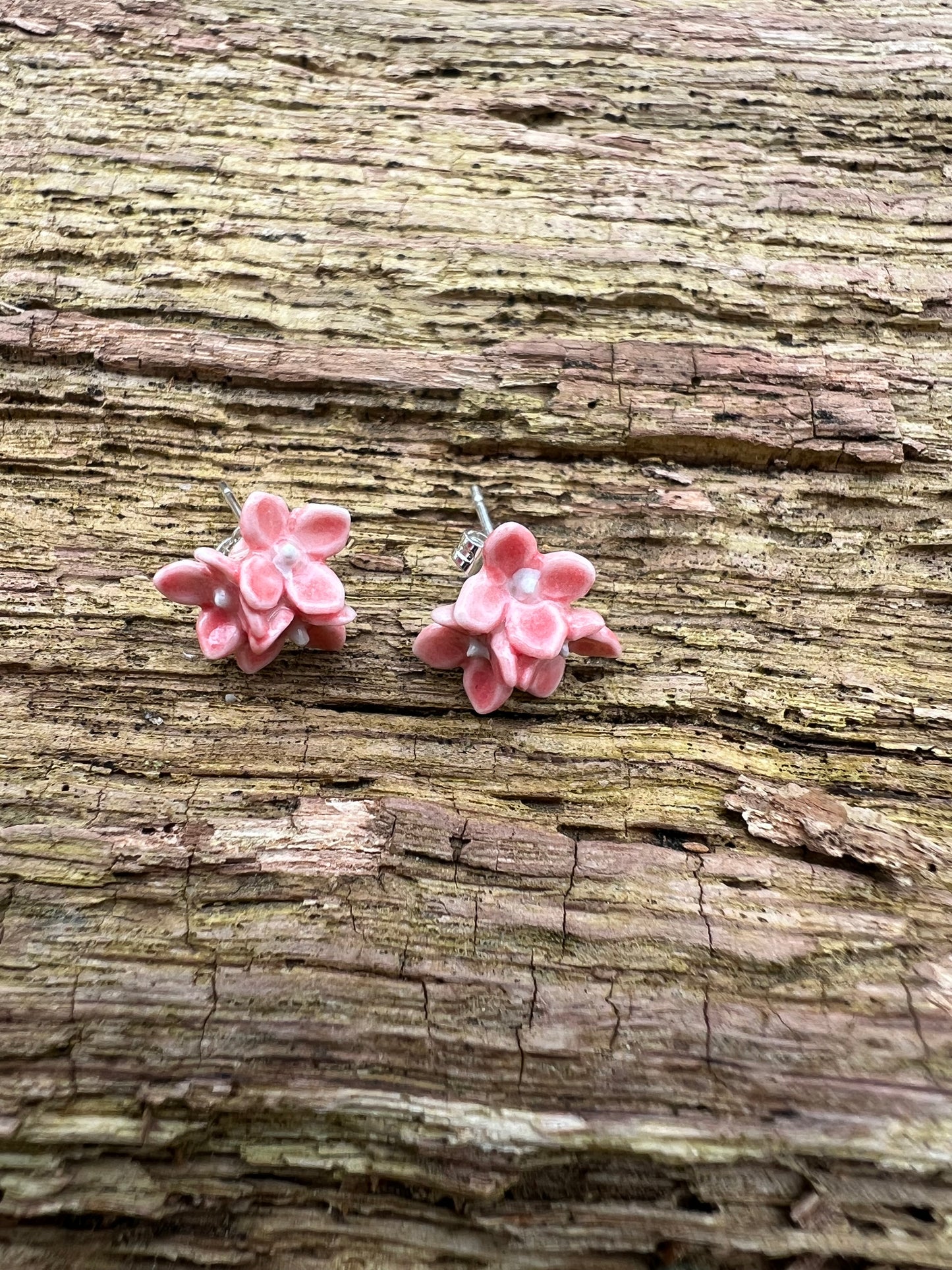 Porcelænsørestik hortensia 'Sig det med blomster'