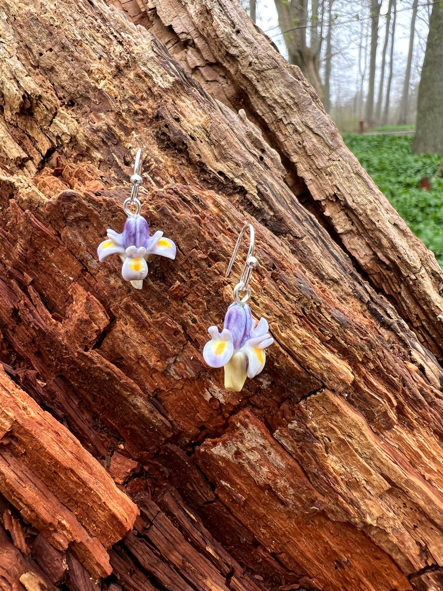 Porcelænsørering Iris  'Sig det med blomster'