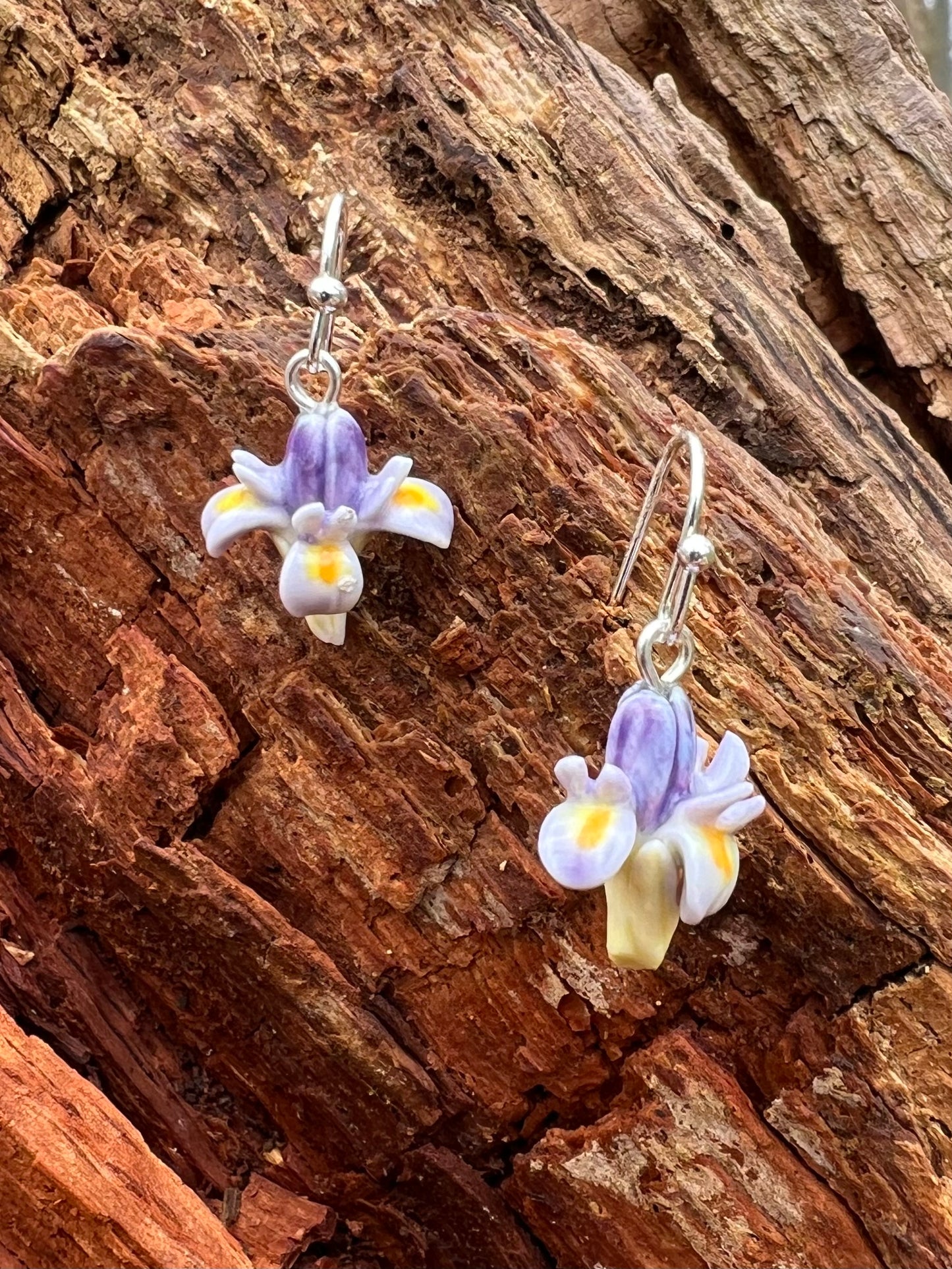 Porcelænsørering Iris  'Sig det med blomster'
