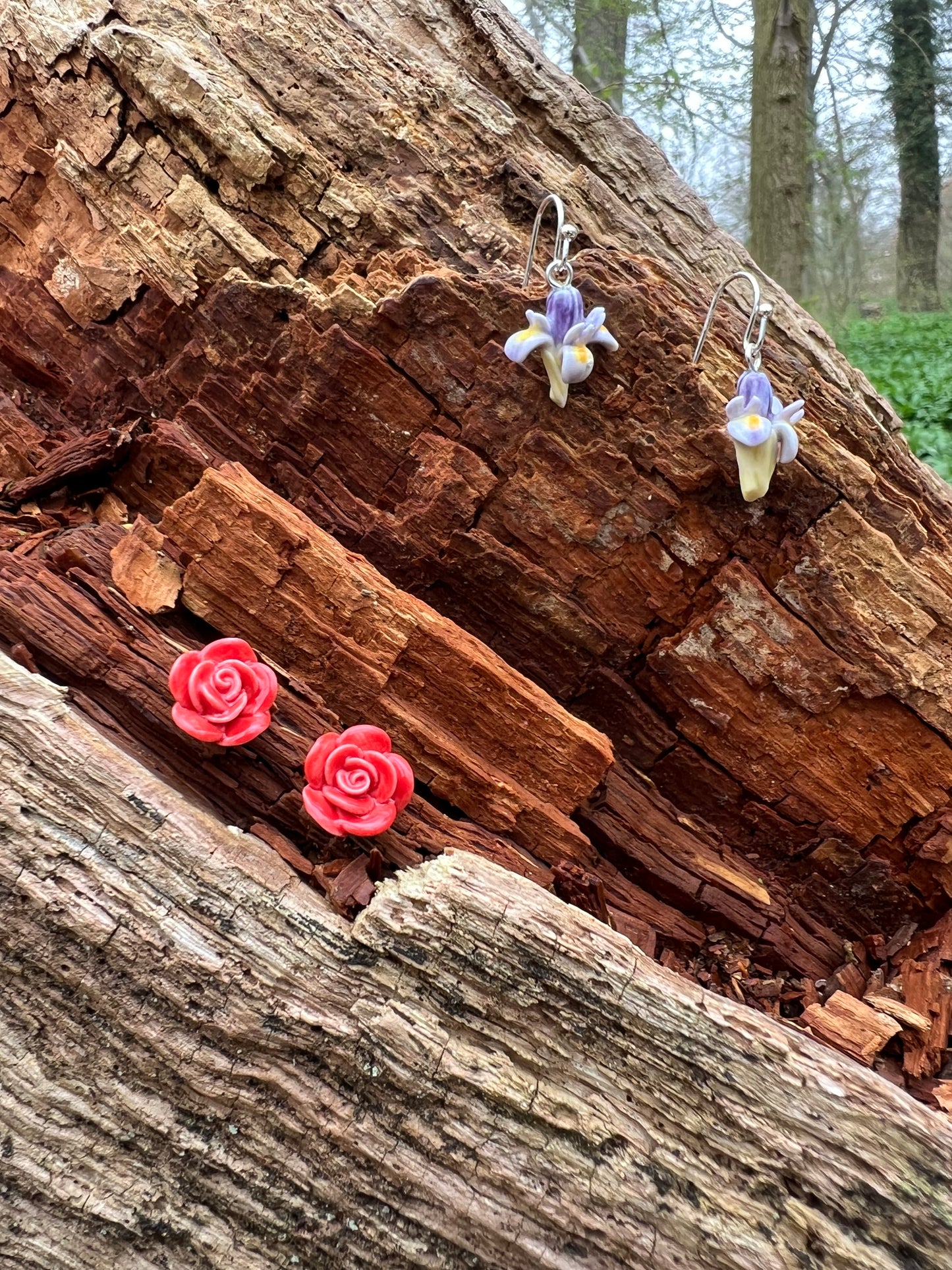 Porcelænsørering Iris  'Sig det med blomster'