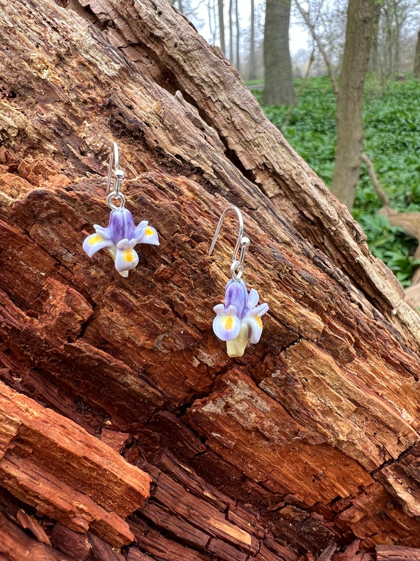 Porcelænsørering Iris  'Sig det med blomster'
