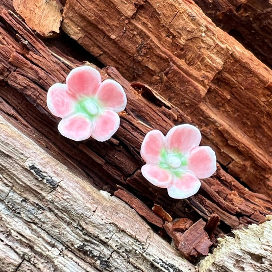 Porcelænsørestik hibiscus  'Sig det med blomster'