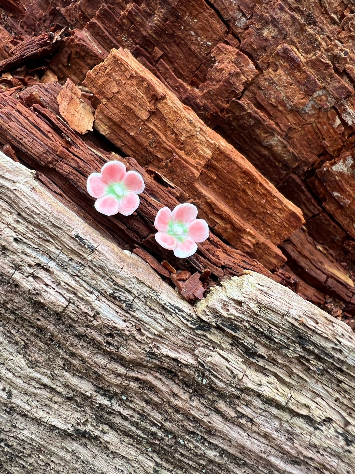 Porcelænsørestik hibiscus  'Sig det med blomster'