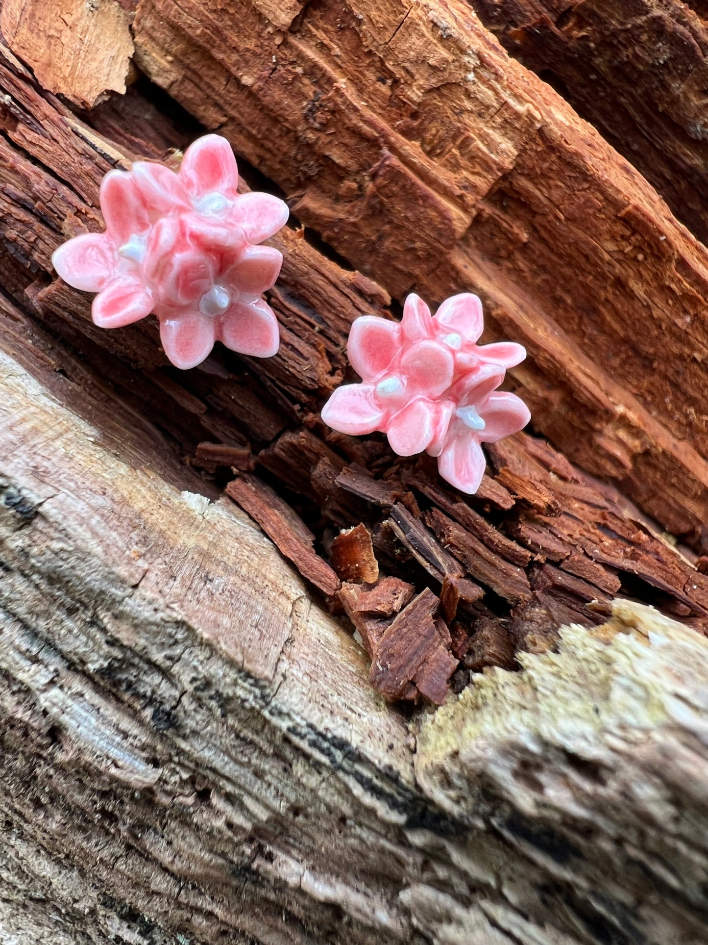 Porcelænsørestik hortensia  'Sig det med blomster'