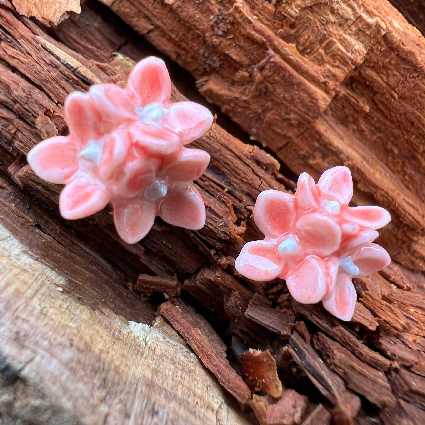 Porcelænsørestik hortensia  'Sig det med blomster'