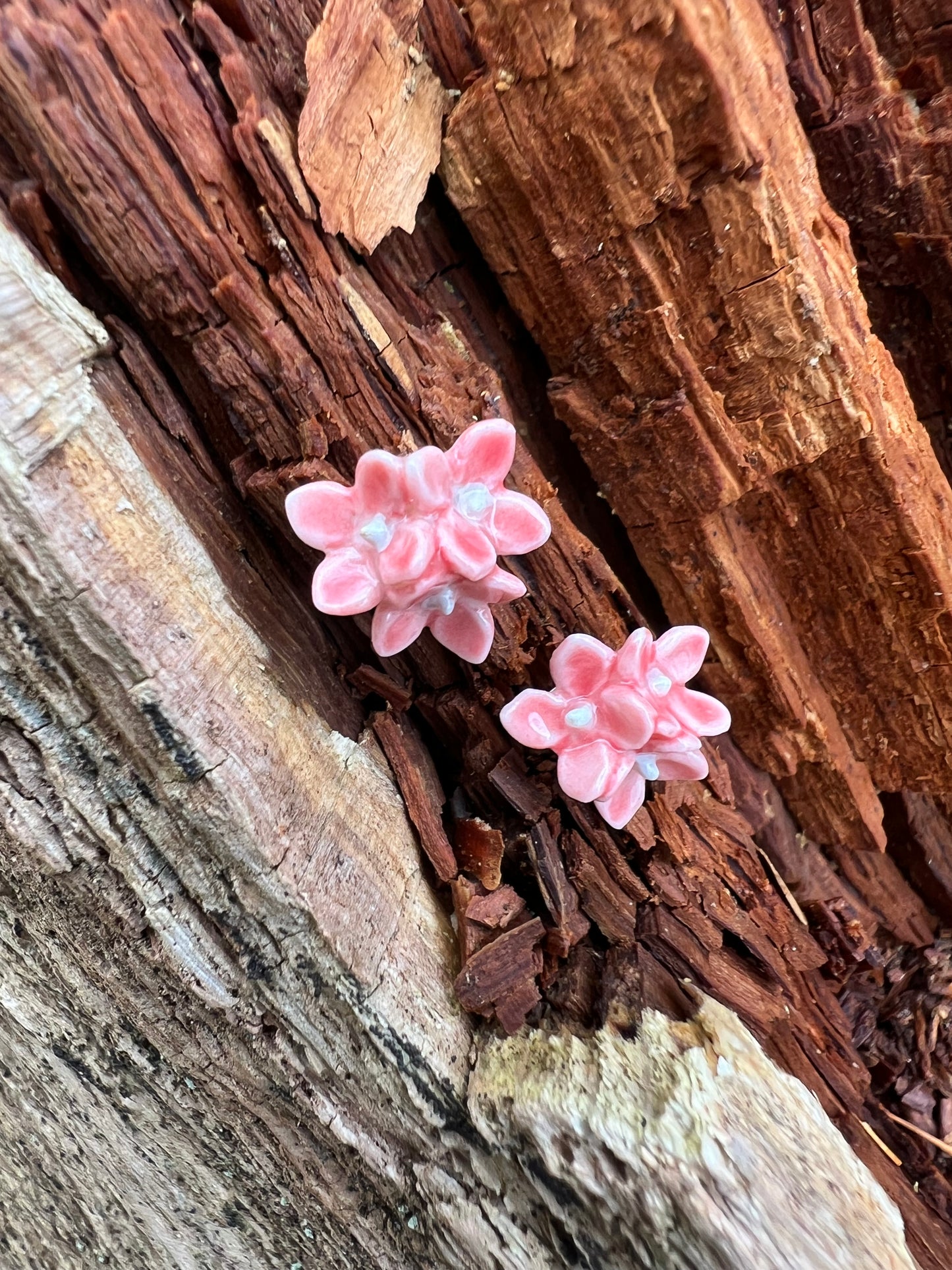 Porcelænsørestik hortensia  'Sig det med blomster'