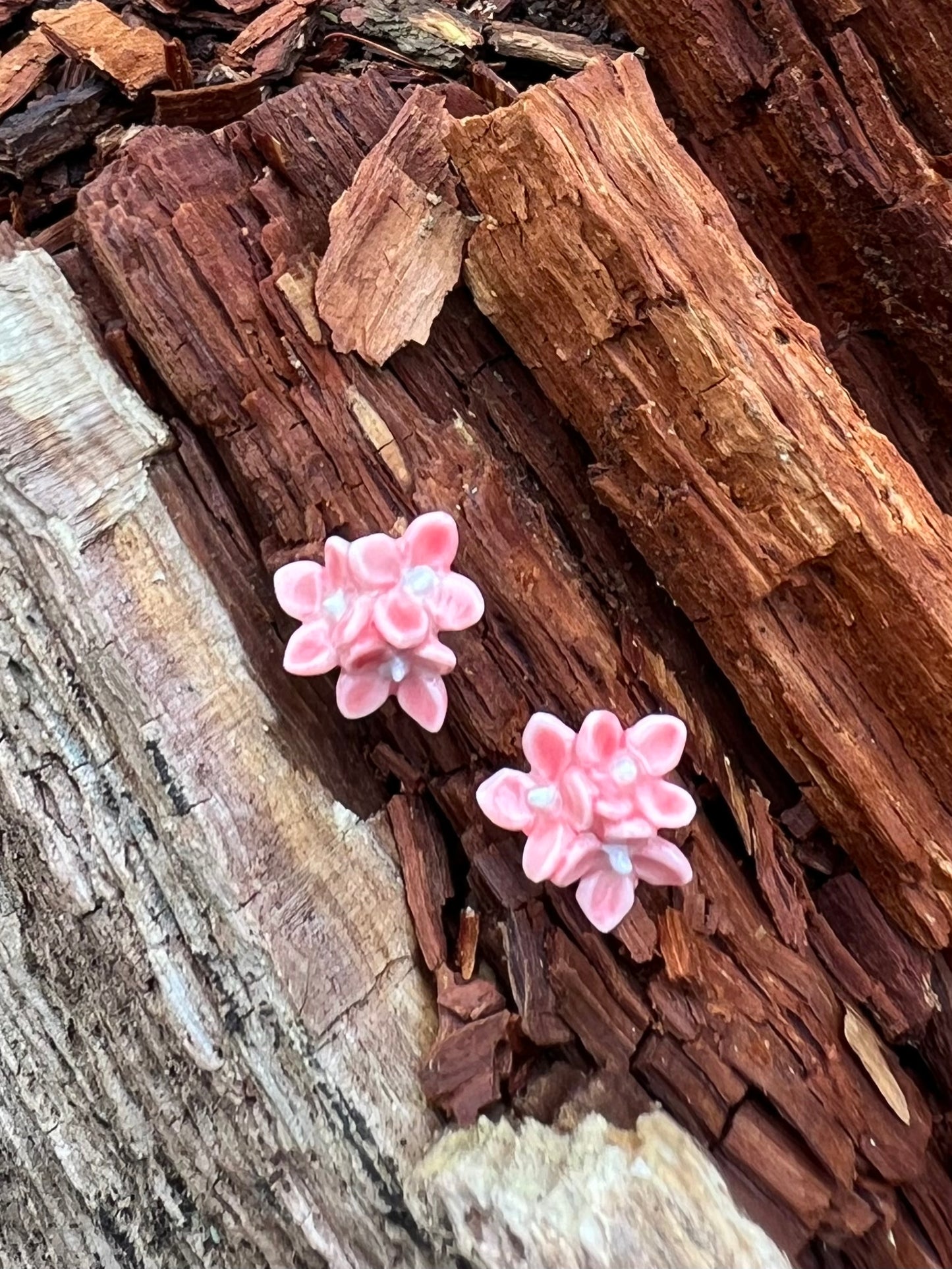 Porcelænsørestik hortensia  'Sig det med blomster'